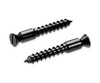 Schaller FR Pivot Screw-(Set 2) Black