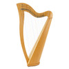 Harps, Dulcimers & Folk Instruments