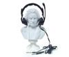 Haines Teachers Mic/Headset MH1