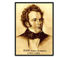 Musician Print 42x30cm - Schubert