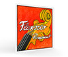 Pirastro Violin Flexocor Permanent G