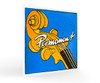 Pirastro Double Bass Permanent G