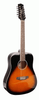 Ashton D20/12 TSB Dreadnought 12 String Guitar