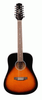 Ashton D20/12 TSB Dreadnought 12 String Guitar