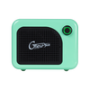 Mooer 5W GTRS PTNR Rechargeable Mini Bluetooth Amplifier (Green)