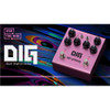 Strymon Dig 2 Dual Digital Delay Pedal