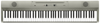 Korg Liano 88 Note Piano Metallic Silver