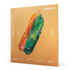 D'Addario Ascenté Viola String Set, Extra-Extra-Short Scale, Medium Tension