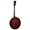 Barnes & Mullins BJ304GT 'Perfect' 4-String Gaelic Tenor Banjo