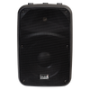 Italian Stage SPX10AUB 10" bi-active two way speaker with Media Player