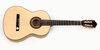 Hofner Special Edition Zebrawood Guitar