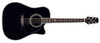 TAKAMINE STEVE WARINER MODEL