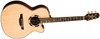 TAKAMINE NEX SANTE FE GUITAR