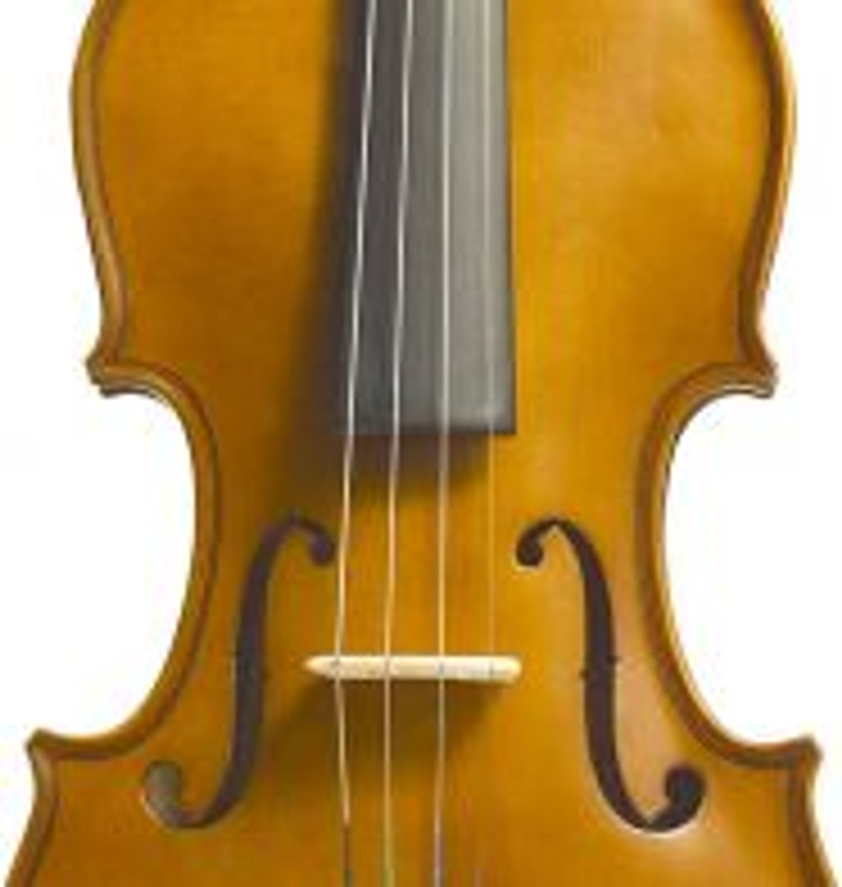 STENTOR STUDENT 1 1/16 VIOLIN