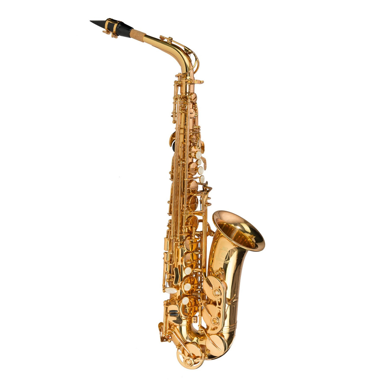 Steinhoff Advanced Student Alto Saxophone (Gold)