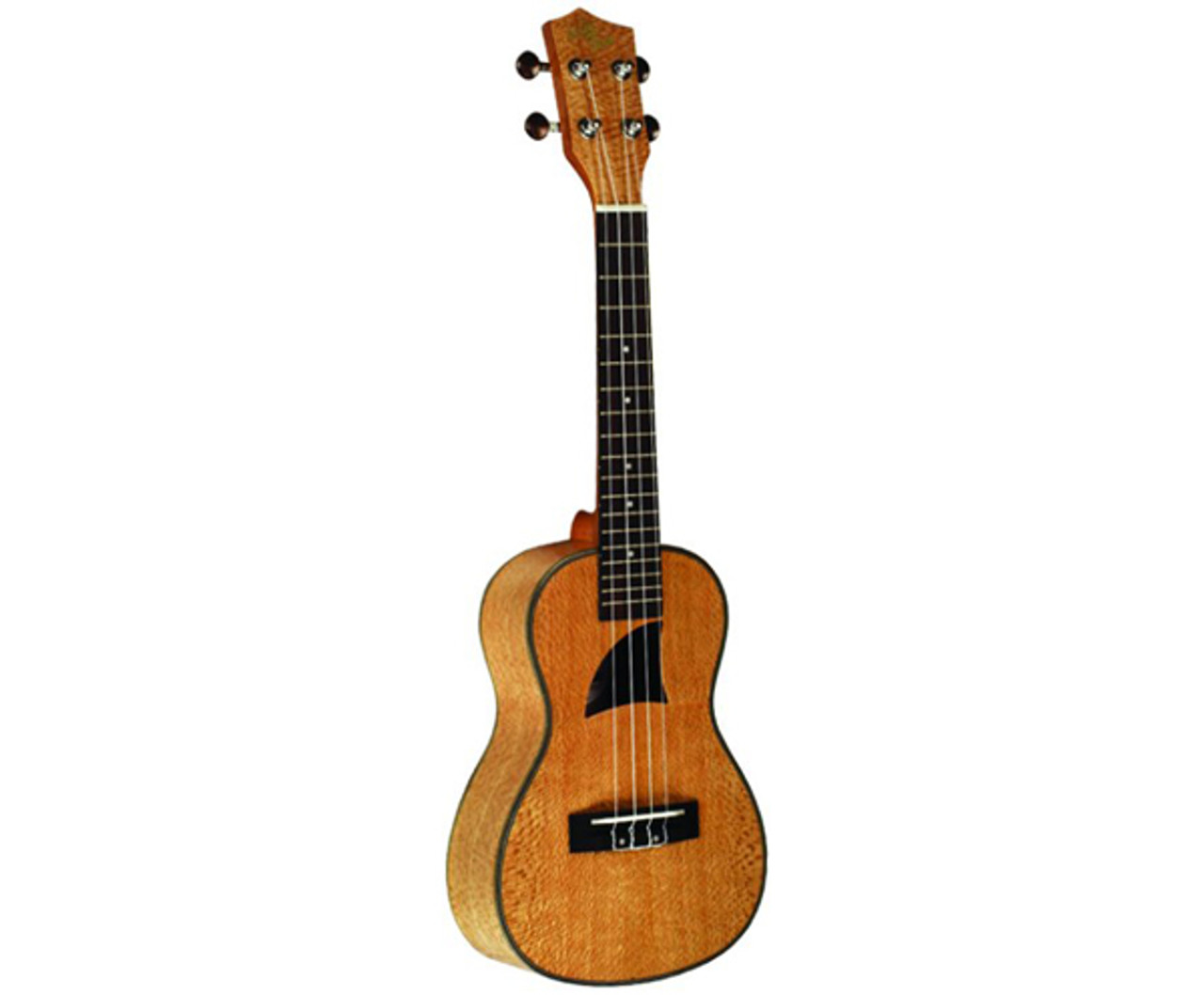 Eddy Finn Tenor Uke Lacewood 16T