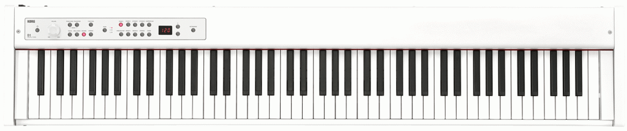 Korg D1 88 Note Weighted Key White