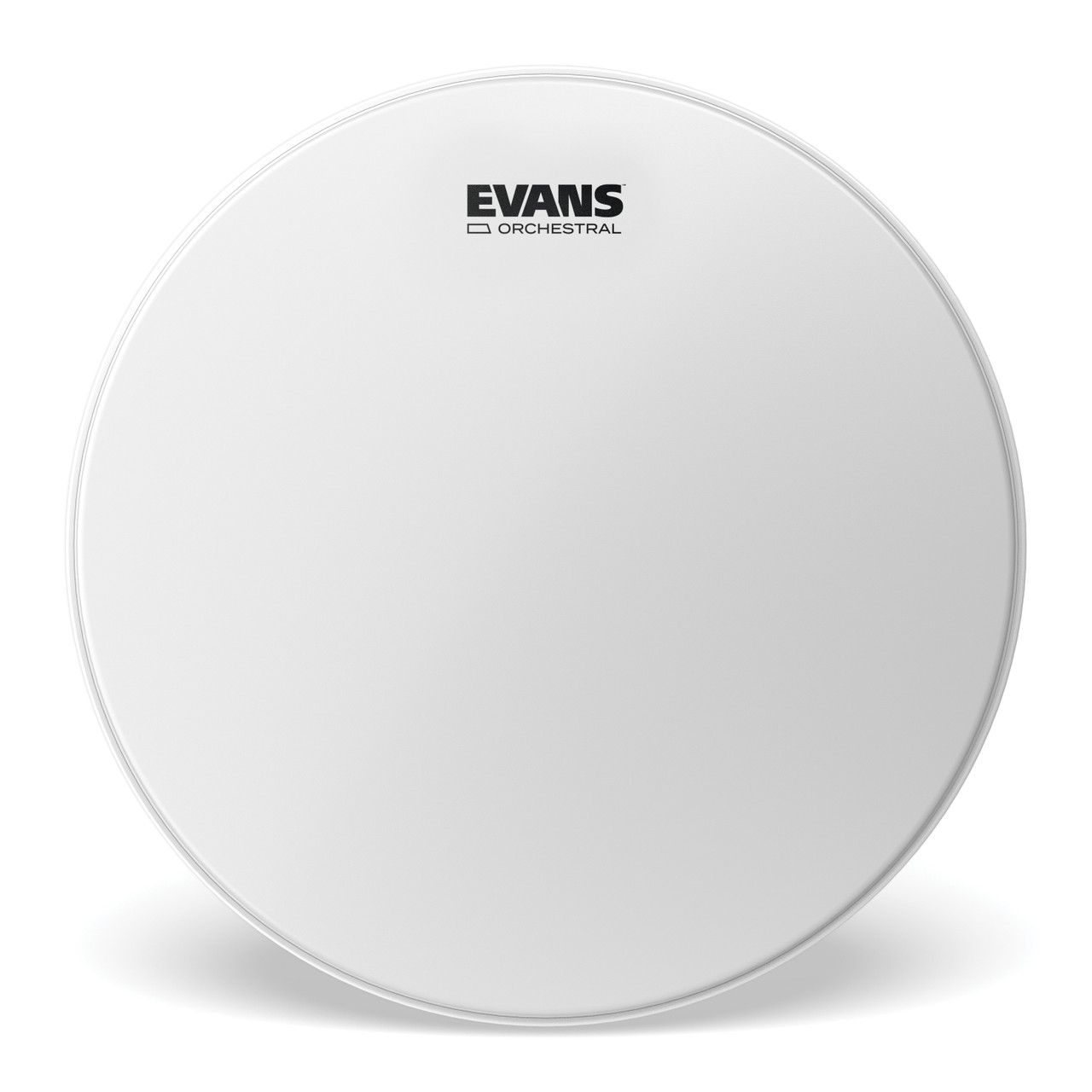 EVANS Orchestral Coated White Snare Drum Head, 14 Inch