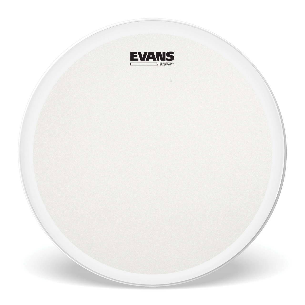 EVANS Orchestral Stacatto Coated White Snare Drum Head, 14 Inch