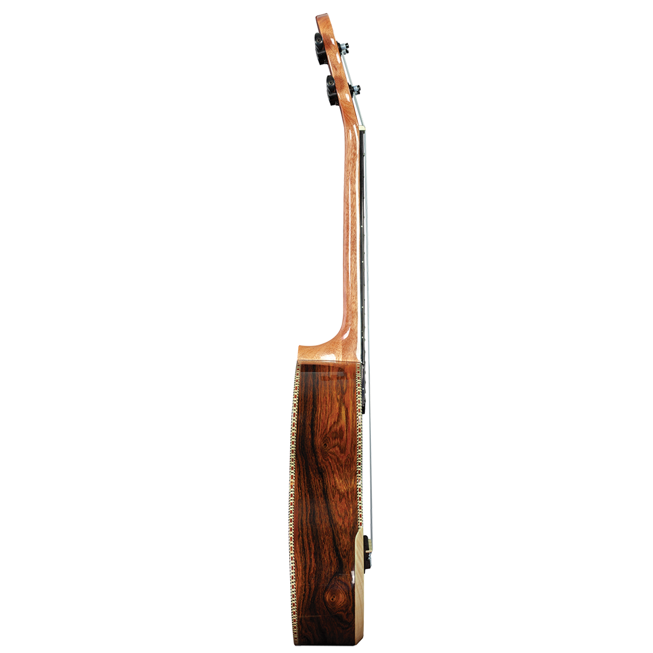 Barnes & Mullins BMUK8C Concert Becote Ukulele