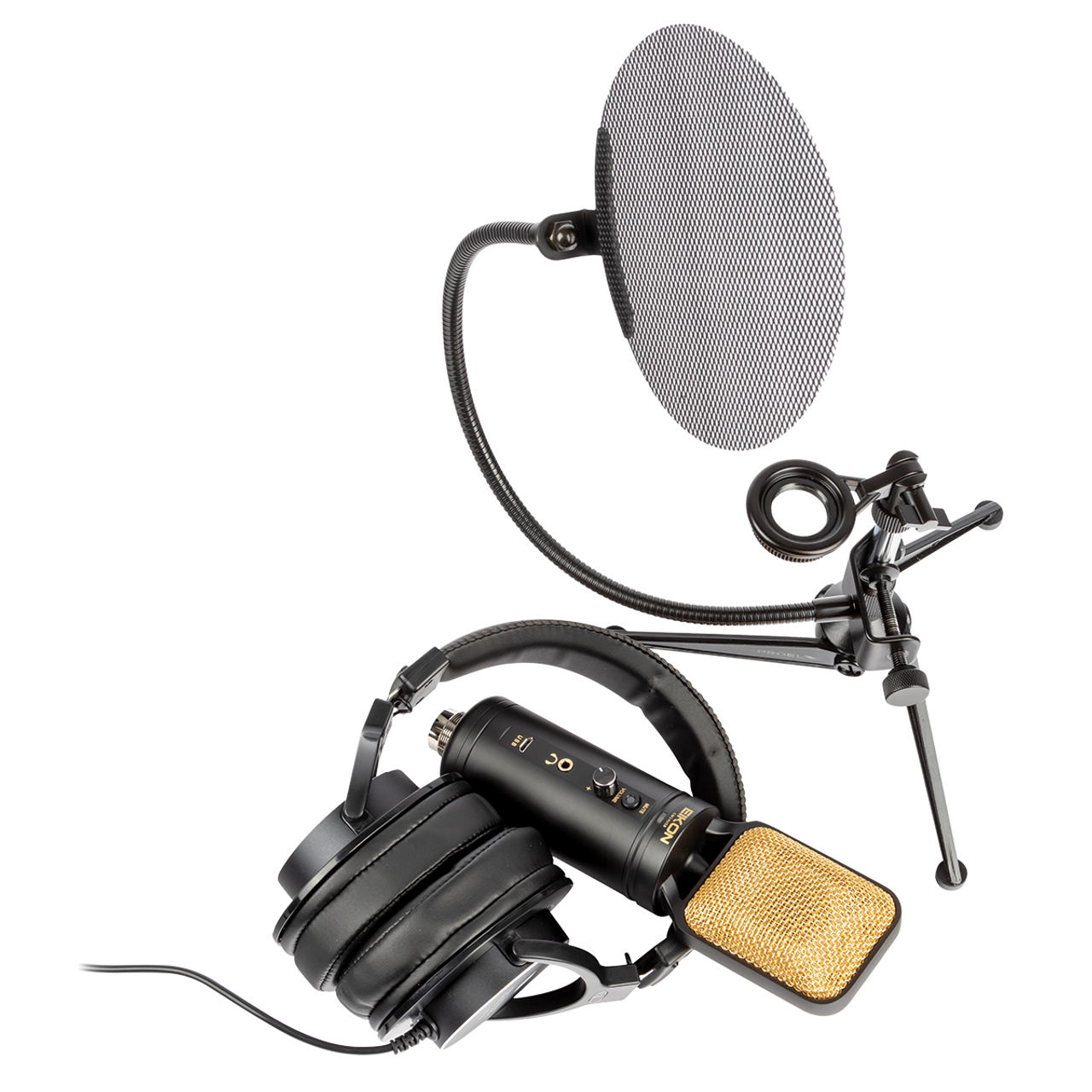 Eikon EKSBTWO Advanced home recording bundle