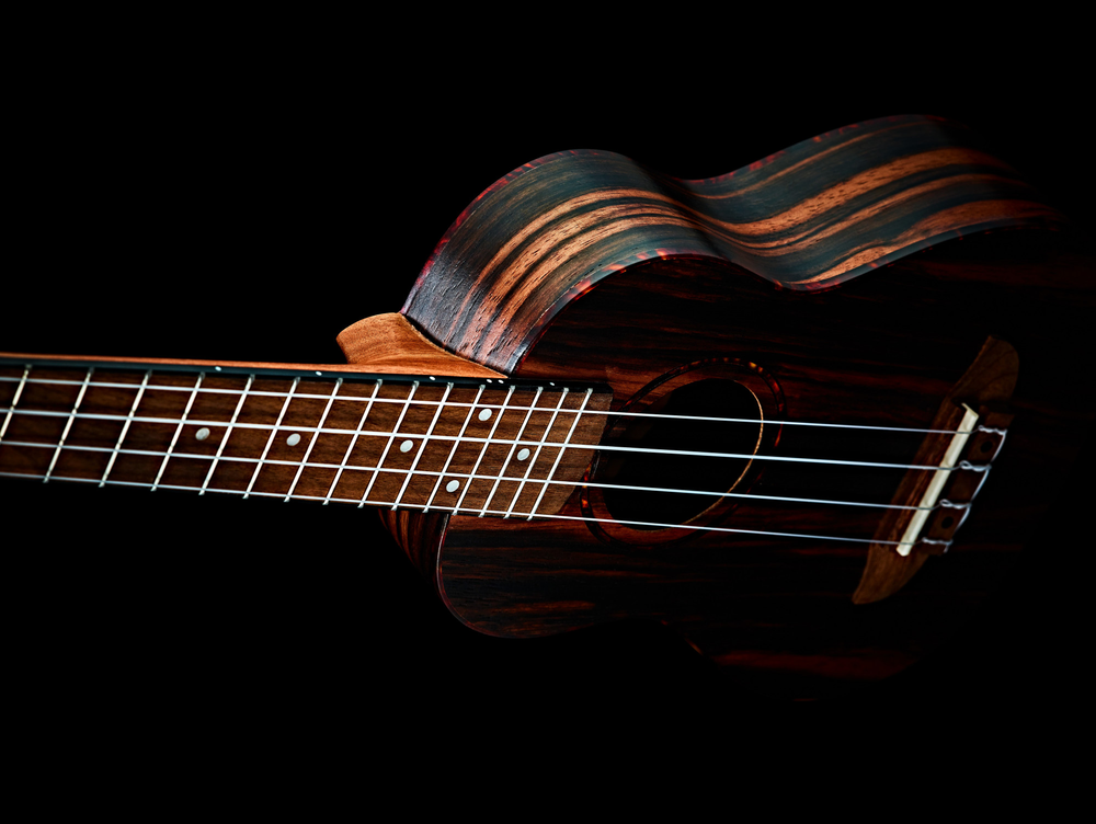 ORTEGA Timber Series Concert Ukulele 4 String Lefty - Ebony Natural + Bag