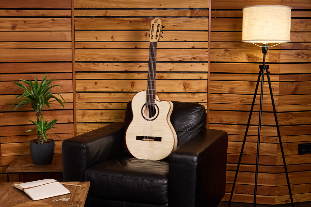 ORTEGA The Private Room 4/4 Nylon String Guitar 6-String - Natural + Gig Bag
