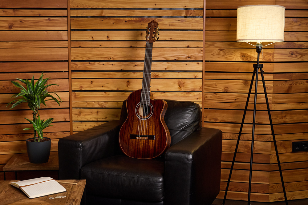 ORTEGA The Private Room 4/4 Nylon String Guitar 6-String - Natural + Gig Bag