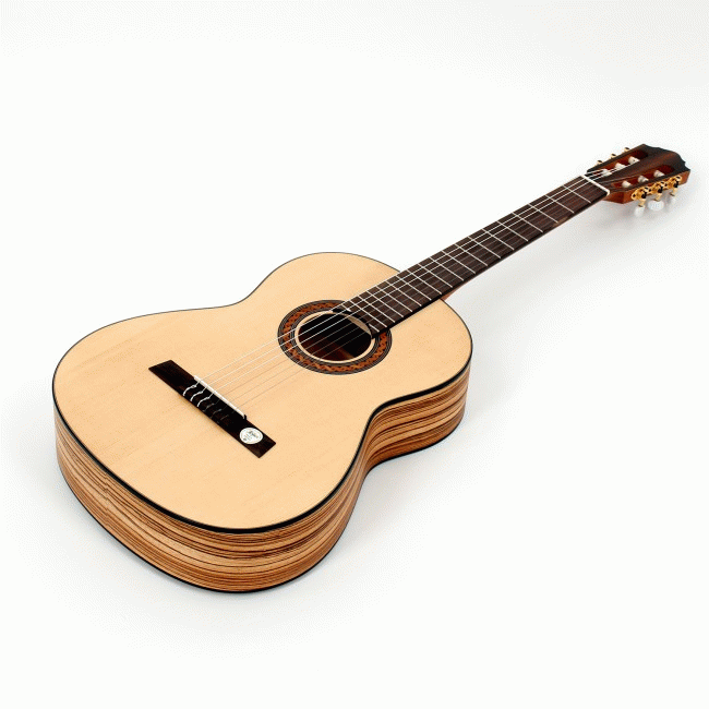 Hofner Special Edition Zebrawood Guitar