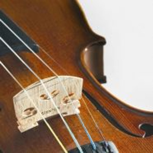 STENTOR STUDENT 2 1/16 VIOLIN