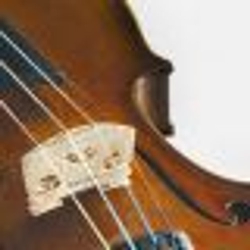 STENTOR STUDENT 2 1/4 VIOLIN