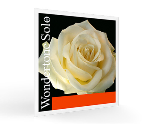 Pirastro Violin Wondertone SoloSilvery E