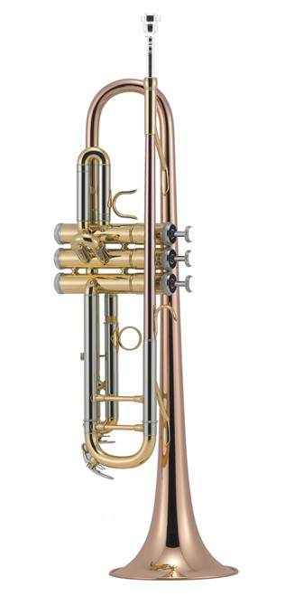 J.Michael TR450 Trumpet (Bb) in Clear Lacquer Finish