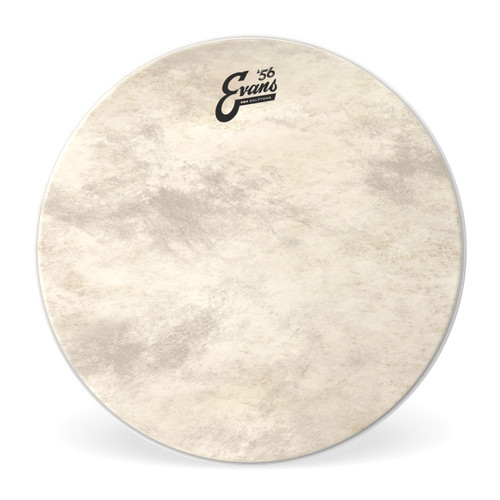 EVANS EQ4 Calftone Tom Hoop Drum Head, 16 Inch