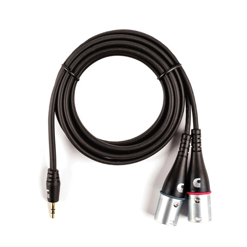 D'Addario Custom Series 1/8Ó to Dual  XLR Audio Cable