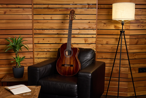 ORTEGA The Private Room 4/4 Nylon String Guitar 6-String - Natural + Gig Bag