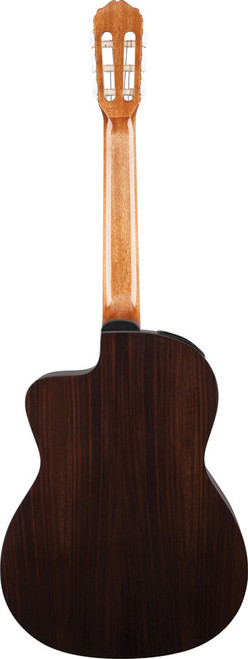 Takamine TGC5CENAT Series AC/EL Classical Guitar with Cutaway in Natural Gloss Finish