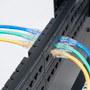 CAT 5e patch cords feeding through patch panel