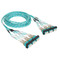 Preterminated Cassette Fiber Optic LC Patch Panel with Cable Assembly 24 Fibers, Bezel to Bezel