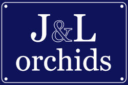 J&L Orchids