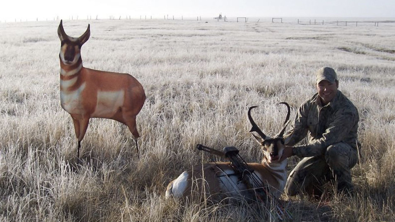 Antelope Buck Decoy