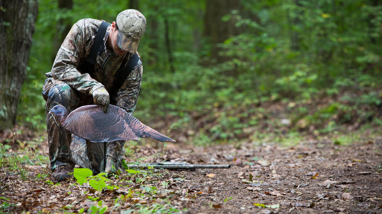 Spring Fling Turkey Decoy Montana Decoy