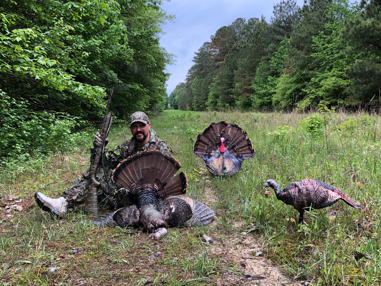 The Turkey Flock Turkey Decoy Kit