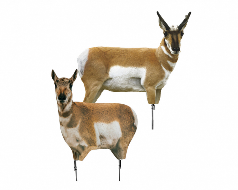 Antelope Combo