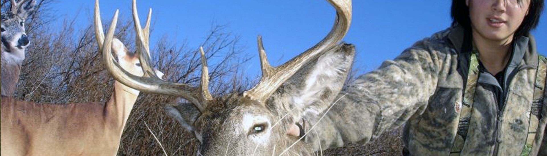 USE A DEER DECOY WHEN HUNTING FROM THE GROUND Montana Decoy