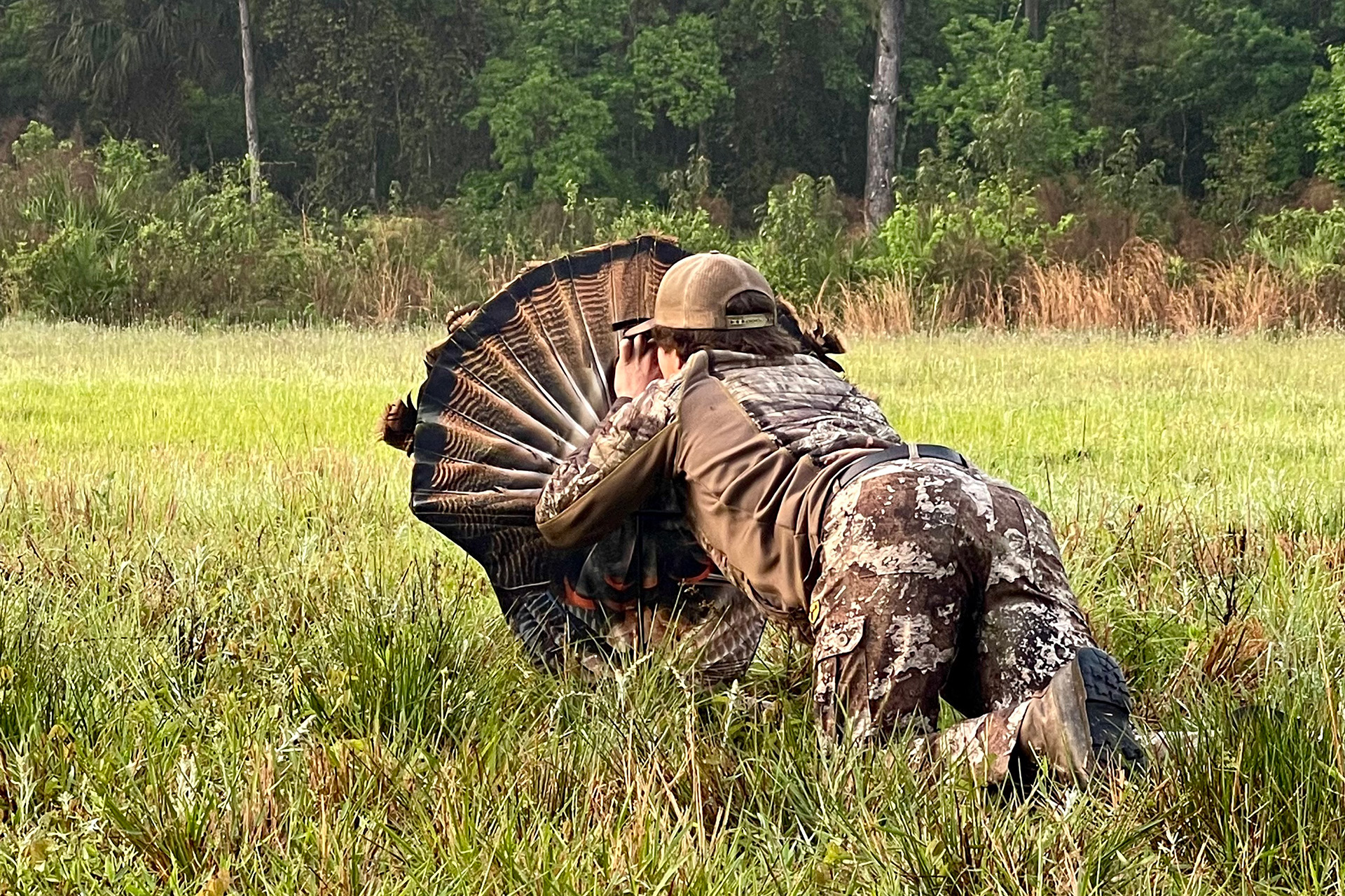 Using a Turkey Reaping Decoy Montana Decoy