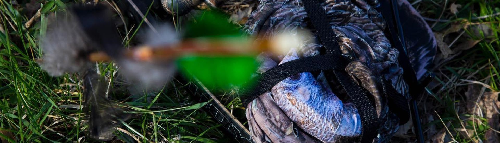 HOW TURKEY DECOYS HELP YOU MAKE A PERFECT SHOT Montana Decoy