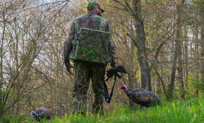 battery operated turkey decoy