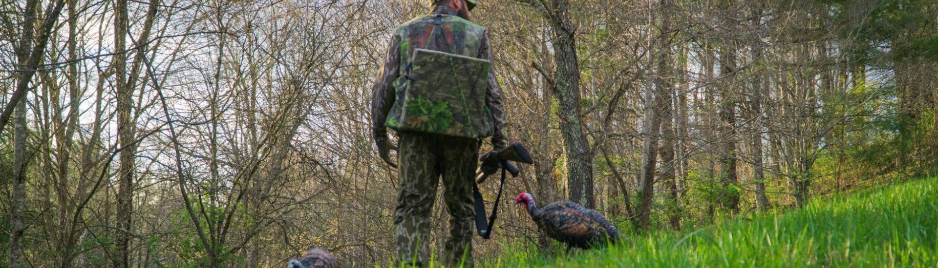 4 MISTAKES HUNTERS MAKE WHEN USING TURKEY DECOYS Montana Decoy