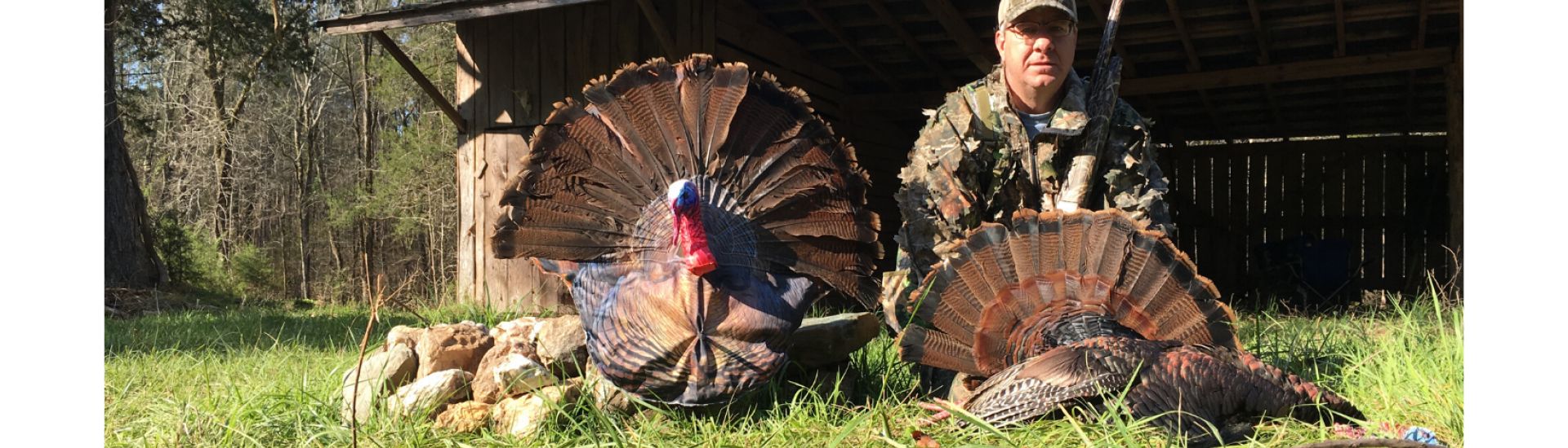 WILD TURKEY HUNTING AND TOOLS OF THE DUPE Montana Decoy